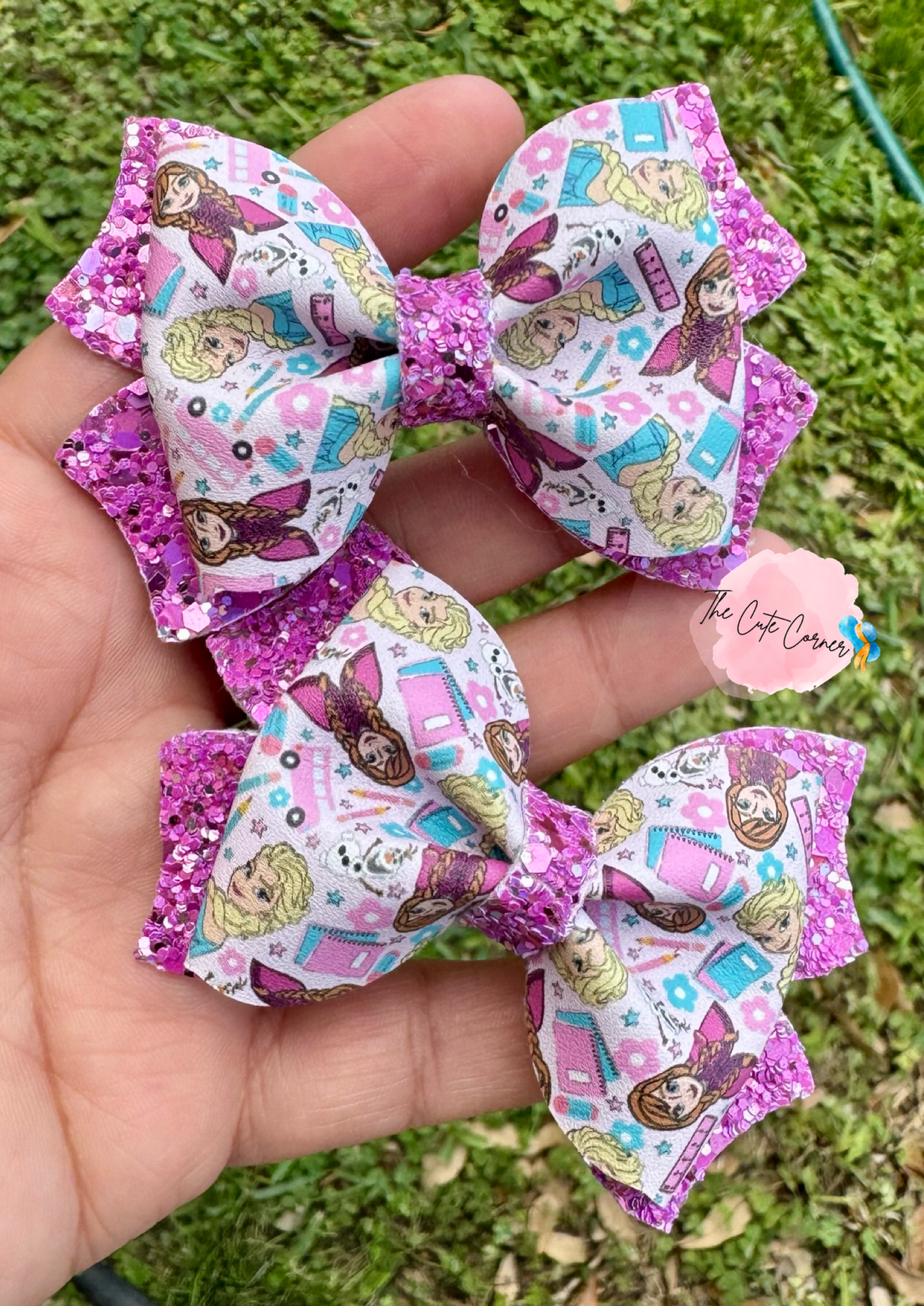 Anna/Elsa Pigtail set
